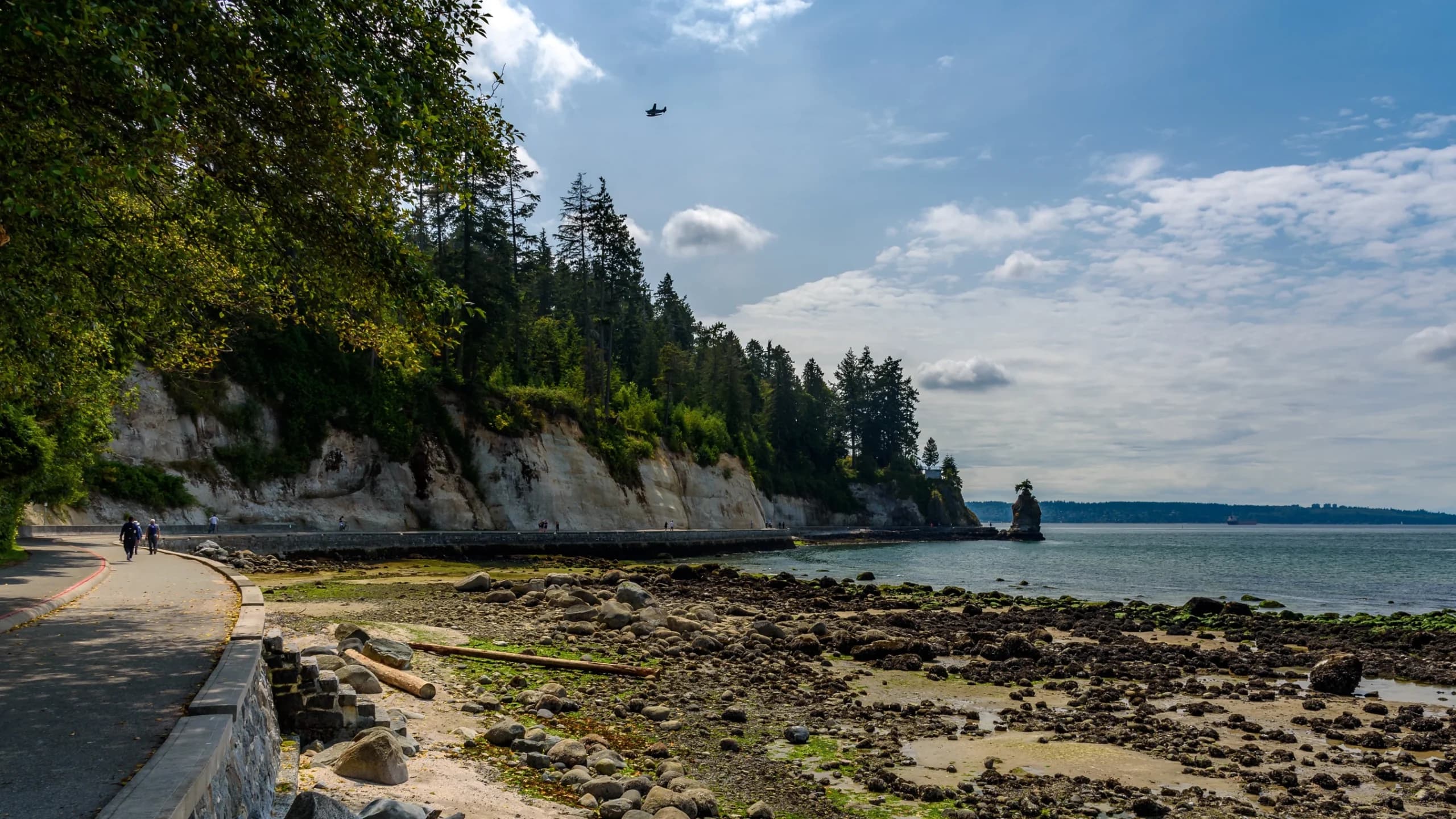Our Guide to the Best Parks in Vancouver, Ranked by Waterfront Views (According to a City Local)